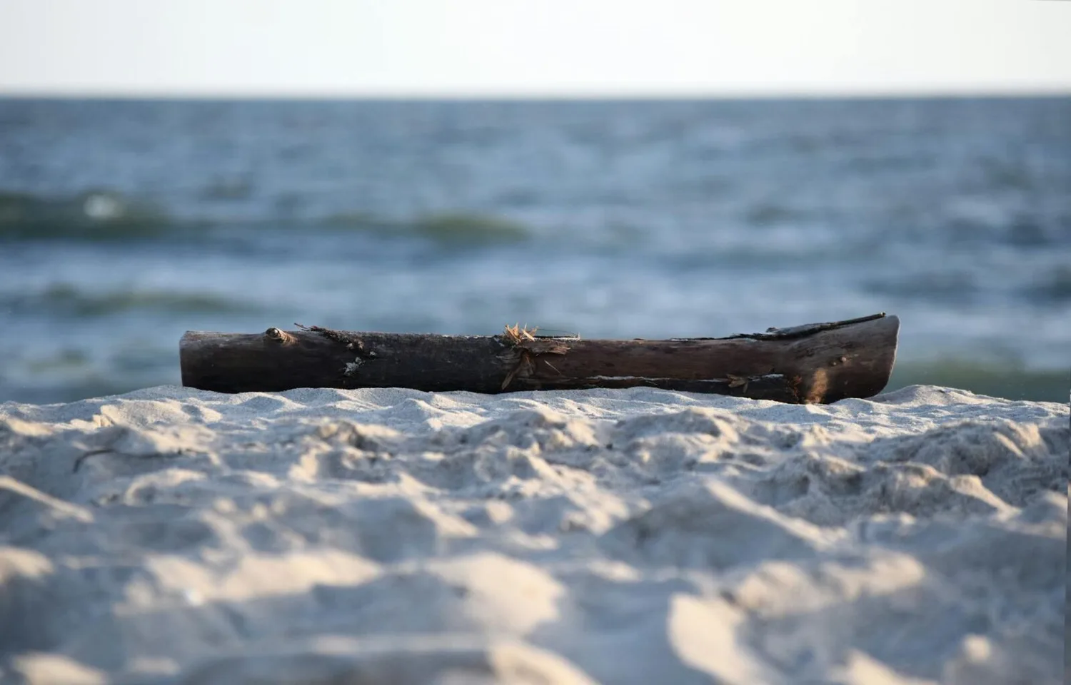 Treibholzstück auf sandigem Kalamata-Strand vor ruhiger Meeresküste