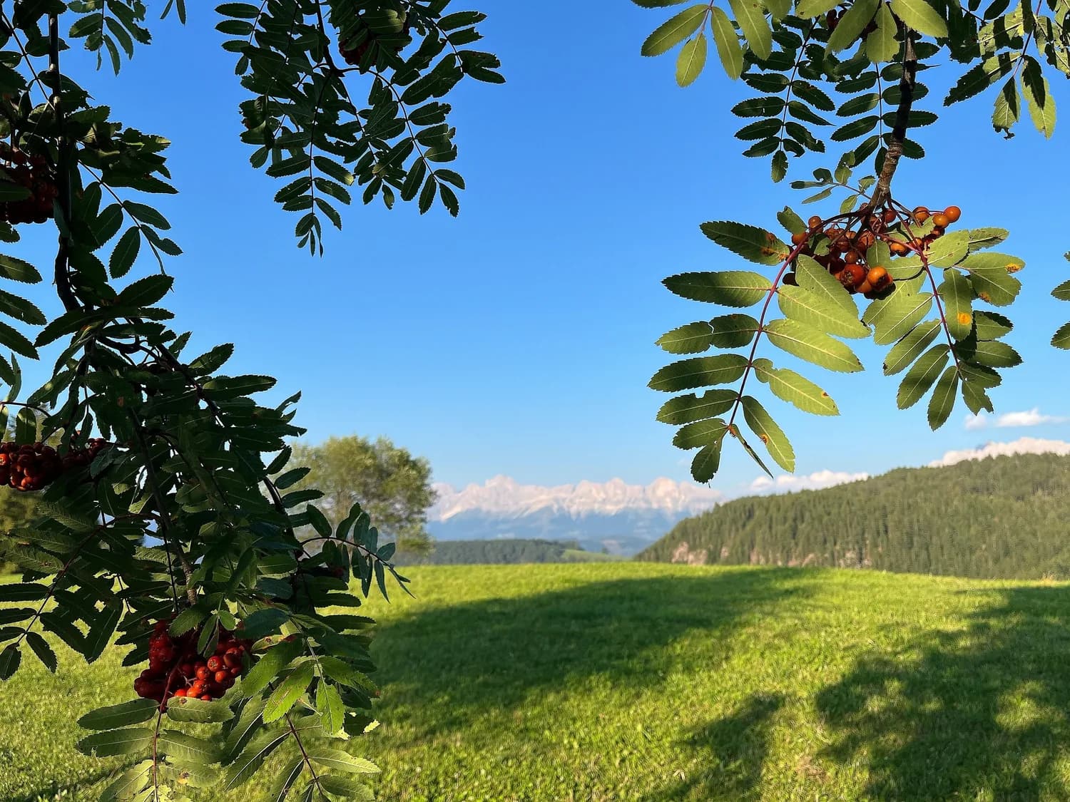 Berglandschaft der Dolomiten in Südtirol mit schroffen Felsgipfeln und Almwiesen
