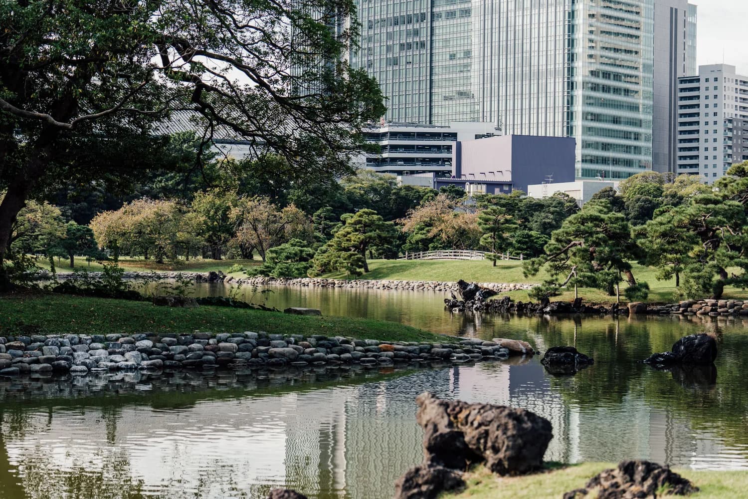 Japanischer Garten mit Teich, Brücke und gepflegten Kiefern im Vordergrund vor moderner Stadtskyline, Kontrast von Natur und urbaner Architektur