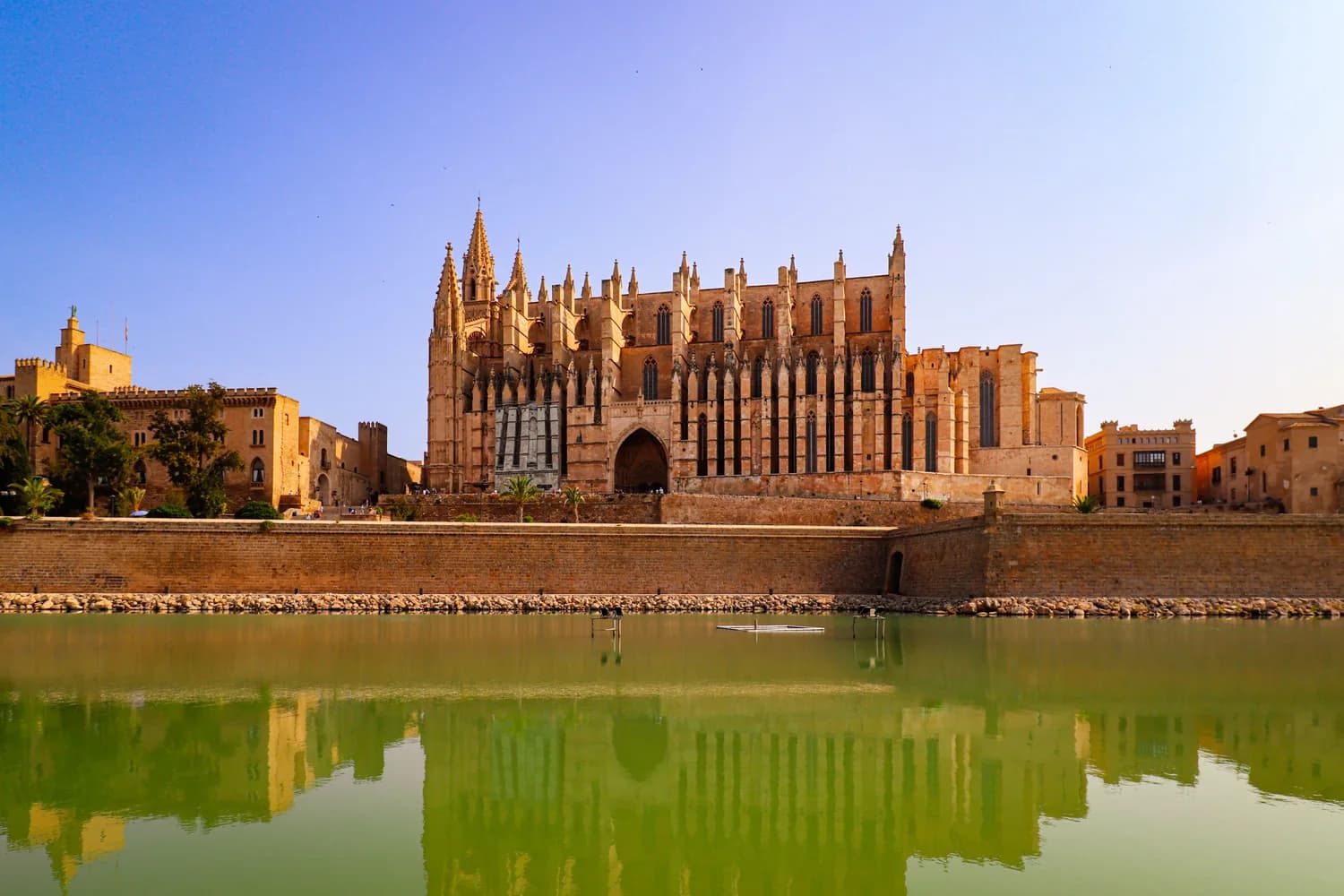 Kathedrale La Seu in Palma de Mallorca mit gotischer Fassade und Spiegelung im Wasser vor blauem Himmel