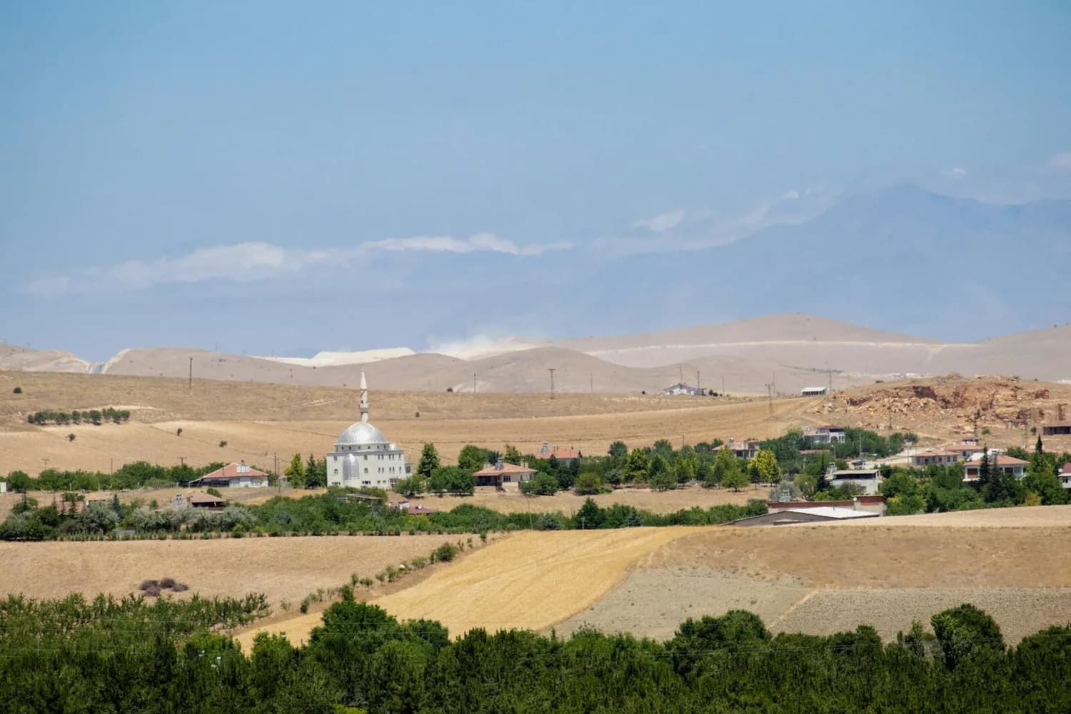 Landschaft bei Elazığ in Anatolien mit Getreidefeldern, grünen Baumreihen und einer weißen Moschee mit Minarett vor sanften Hügeln und Bergen