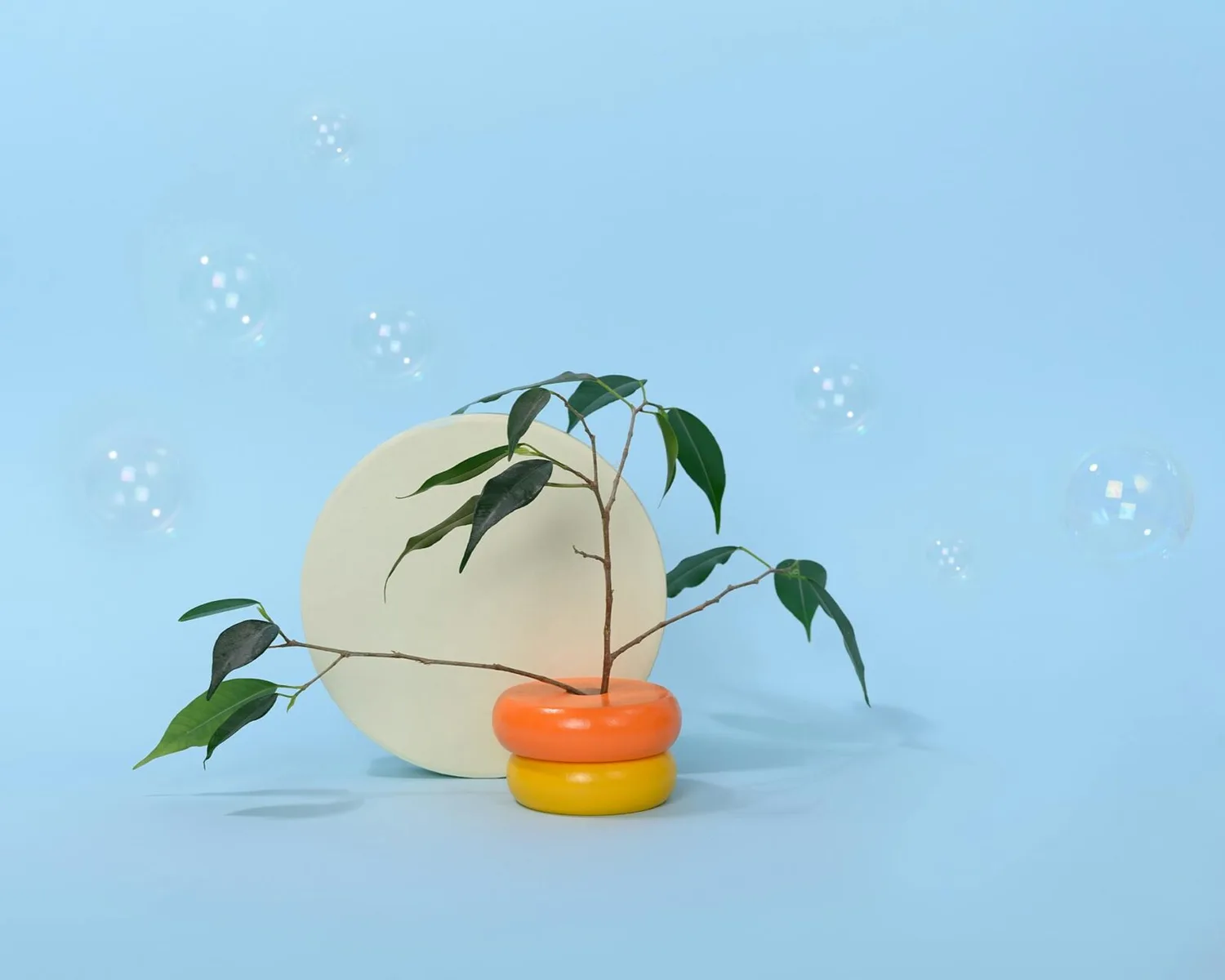 Ikebana-Arrangement mit schlanken Zweigen und grünen Blättern in orange-gelber runden Vase vor hellblauem Hintergrund und dekorativem Kreisfänger