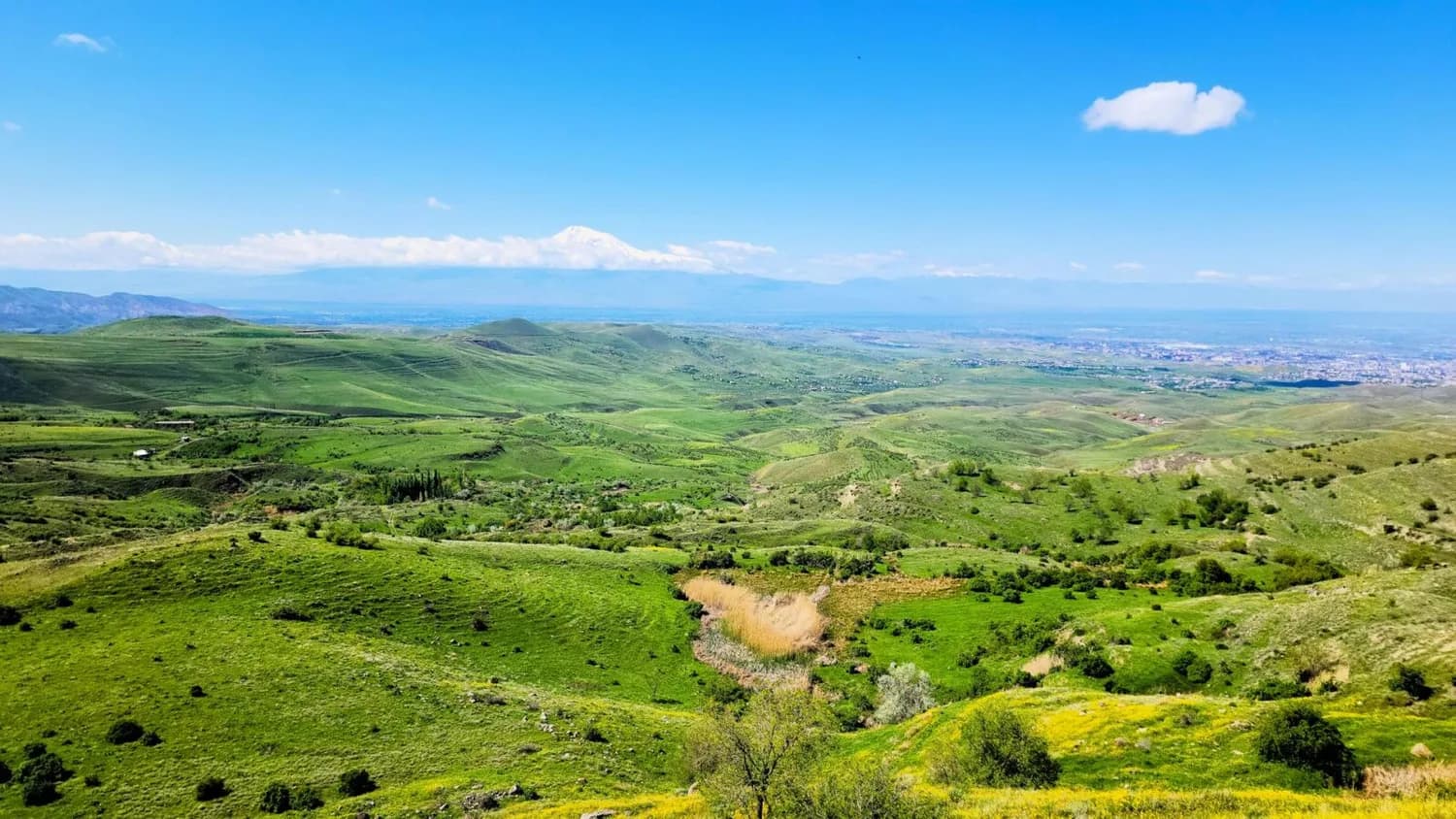 Weite grüne Hügellandschaft bei Eriwan, Armenien, mit blühenden Wiesen, vereinzelten Büschen und Blick auf die Stadt und schneebedeckten Berge im Hintergrund