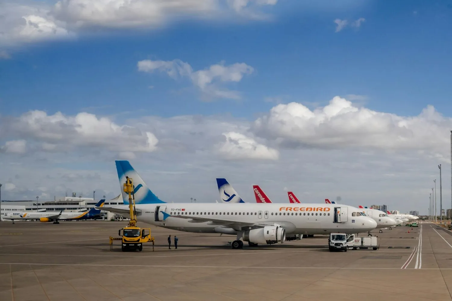 Flugzeuge am Flughafen mit Freebird Airlines Maschine im Vordergrund, Bodenpersonal und Servicefahrzeuge am Gate, weitere Passagierflugzeuge in Reihe unter blauem Himmel