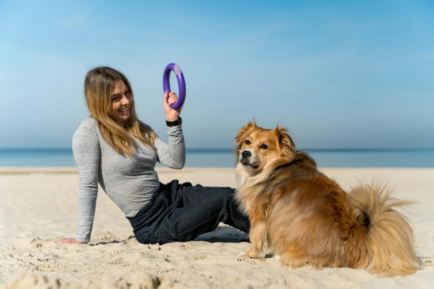 Frau sitzt am Strand und wirft mit einem Ringspielzeug für ihren mittelgroßen, braun‑weißen Hund beim Urlaub am Meer