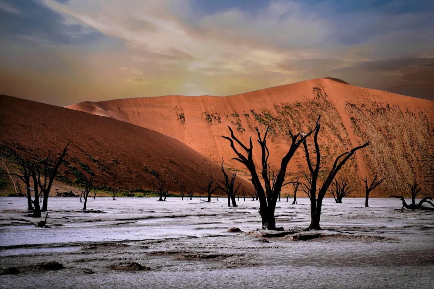 Totale der trockenen Salzpfanne von Deadvlei in der Namib-Wüste mit dunklen verkohlten Baumskeletten vor roten Sanddünen und weitem Himmel