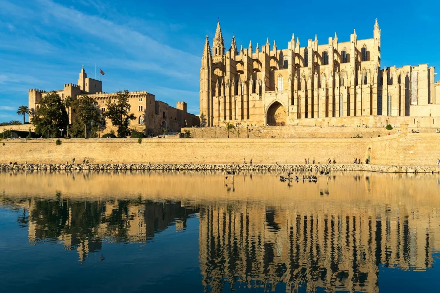 Kathedrale La Seu und Almudaina-Palast in Palma de Mallorca bei Sonnenlicht mit Spiegelung im Wasser, Touristenpromenade im Vordergrund, Familienurlaub Mallorca