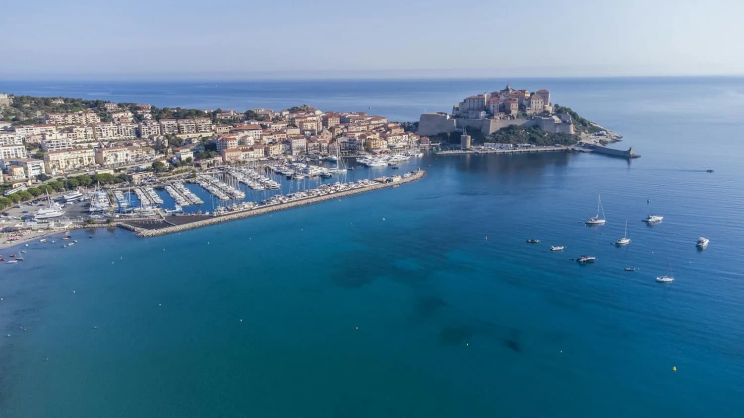 Luftaufnahme des Küstenortes Calvi auf Korsika mit Yachthafen, Altstadt auf der Festungsklippe und Segelbooten im klaren Mittelmeer vor Frankreich