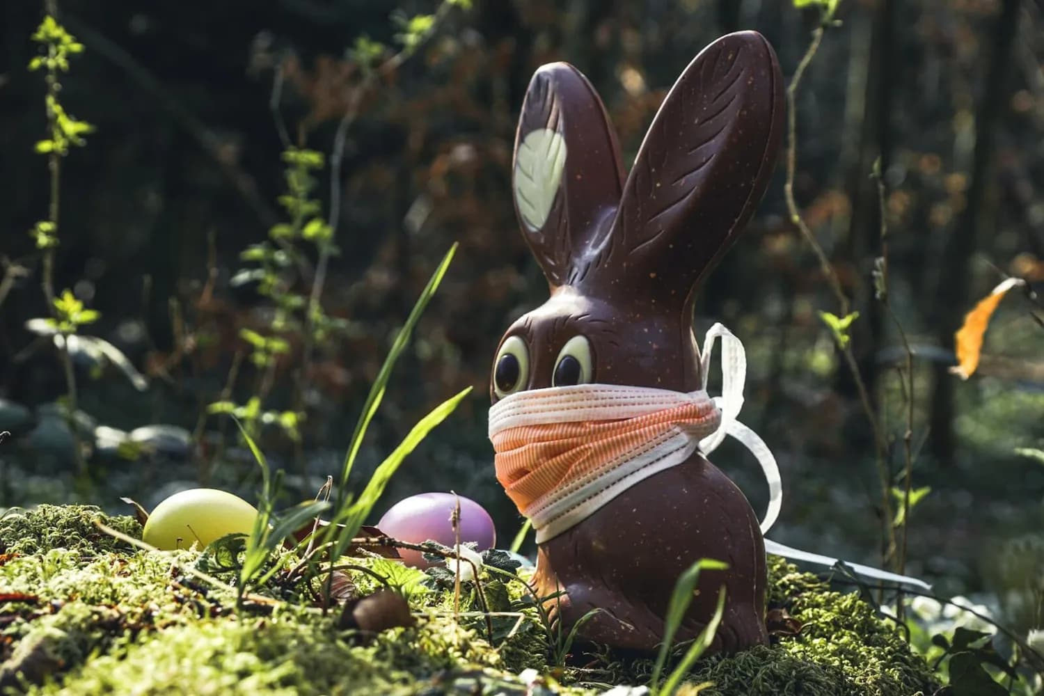 Schokoladen-Osterhase mit Schutzmaske sitzt auf moosbedecktem Waldboden neben bunten Ostereiern während Osterferien am Flughafen Berlin Brandenburg News
