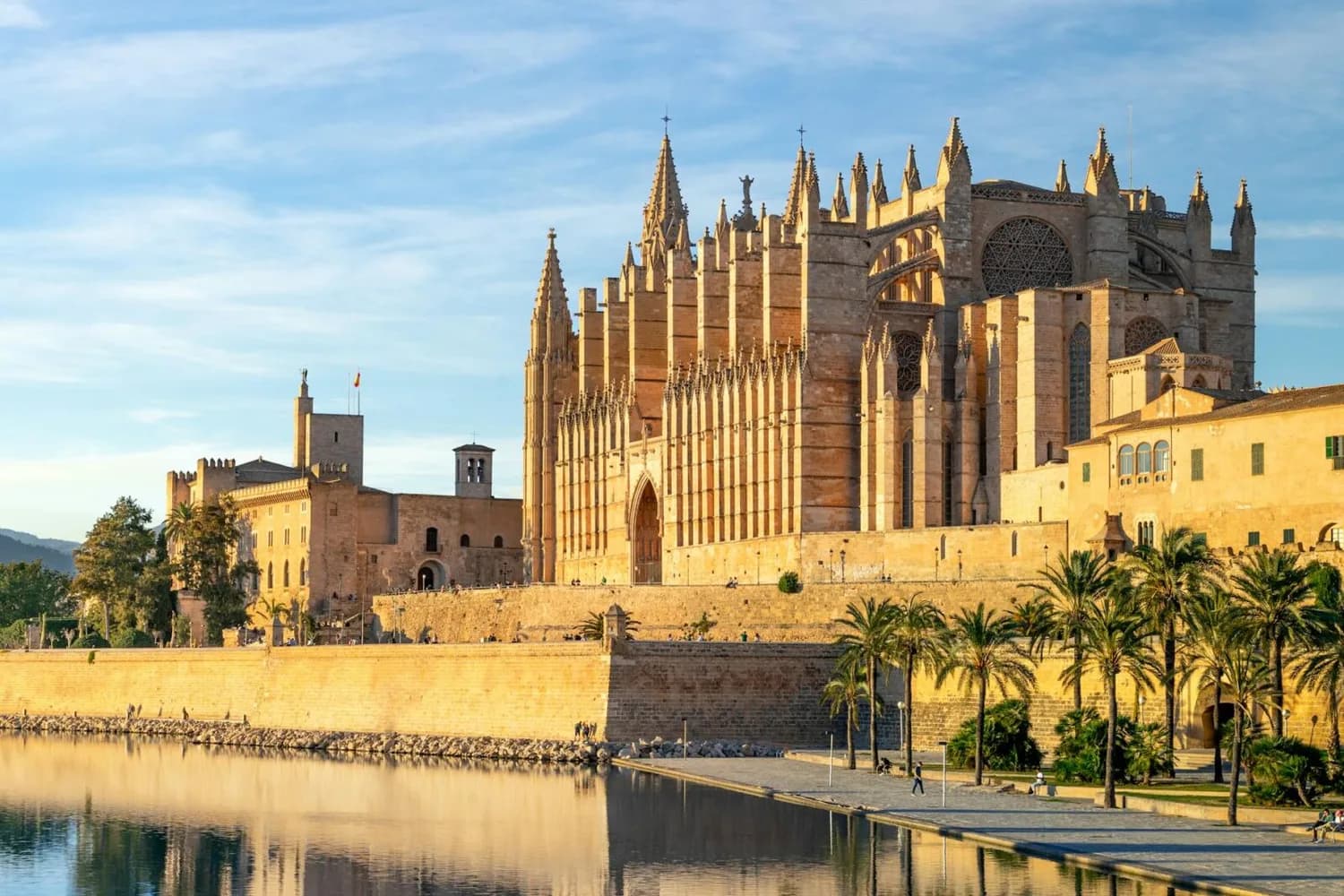 Kathedrale La Seu in Palma de Mallorca am Wasserufer mit Palmen und Altstadtmauer bei Sonnenlicht