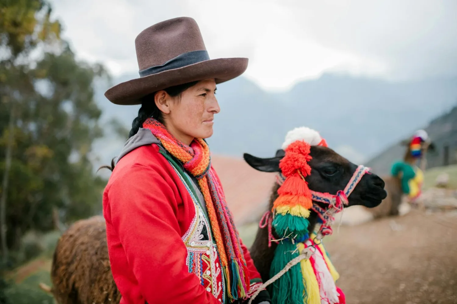 Peruanische Frau in traditioneller Tracht mit Hut und buntem Schal neben geschmücktem Lama in Andenlandschaft, IATA Kongress Bezug