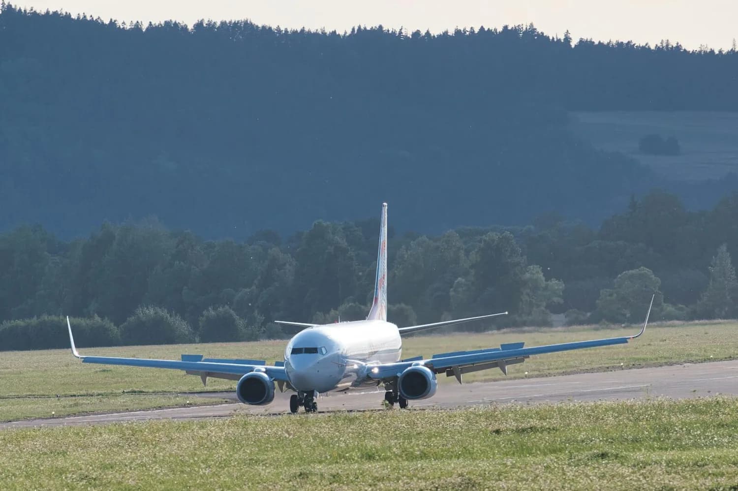 Passagierflugzeug auf Landebahn nach Landeanflug, stehendes Flugzeug am Flughafen während Streik, Vorderansicht mit Triebwerken und Fahrwerk vor bewaldeter Landschaft
