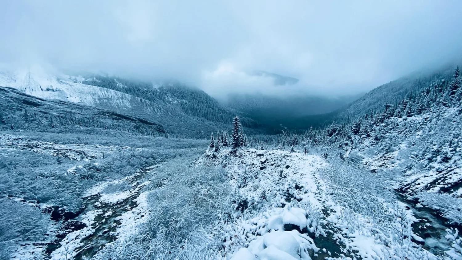 Verschneites Bergtal in British Columbia mit dichtem Nadelwald, bewölkter Himmel und vereistem Flussbett
