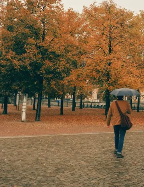 Herbstferien Flughafen Berlin BER