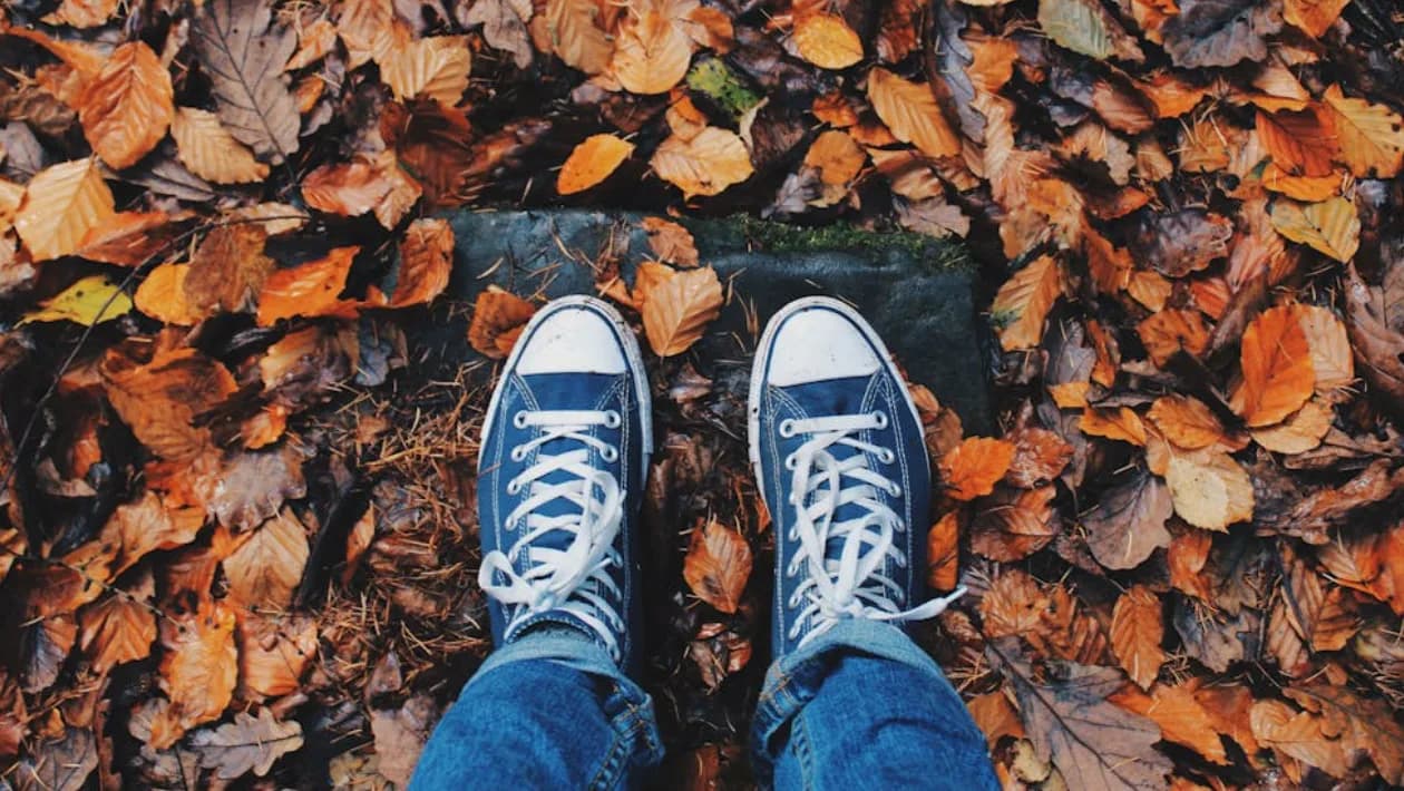 Herbst flughafen genf