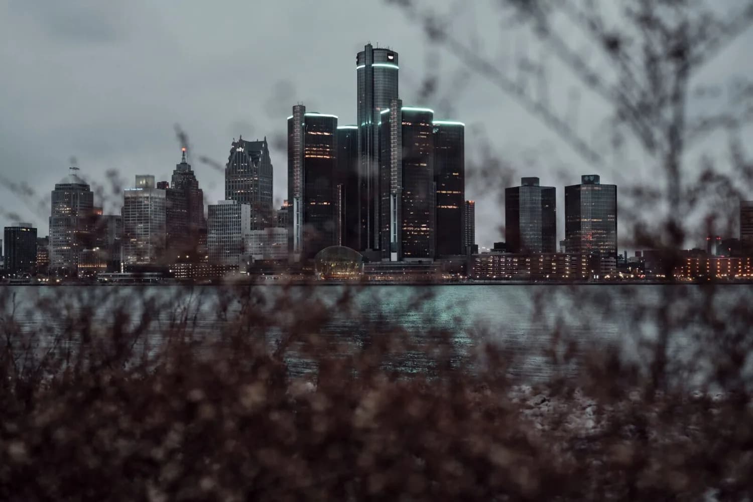 Detroit Skyline bei Dämmerung mit beleuchteten Wolkenkratzern am Flussufer und unscharfen Pflanzen im Vordergrund