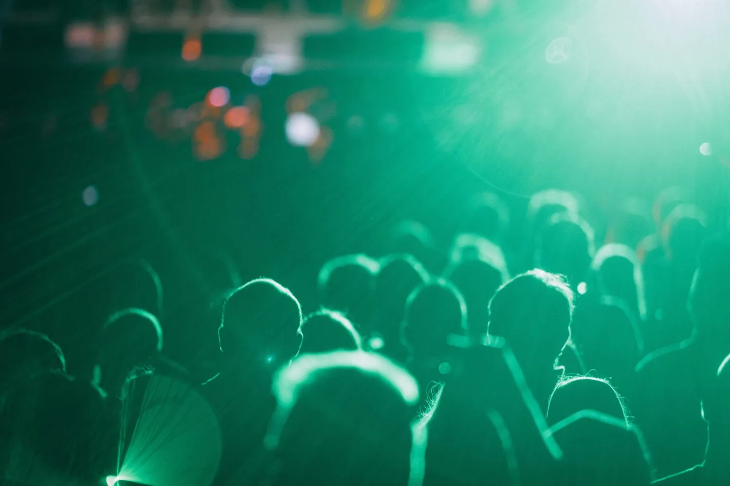 Menschenmenge von hinten bei grün beleuchtetem Konzert oder Veranstaltung, silhouetten im Publikum und Scheinwerferlicht