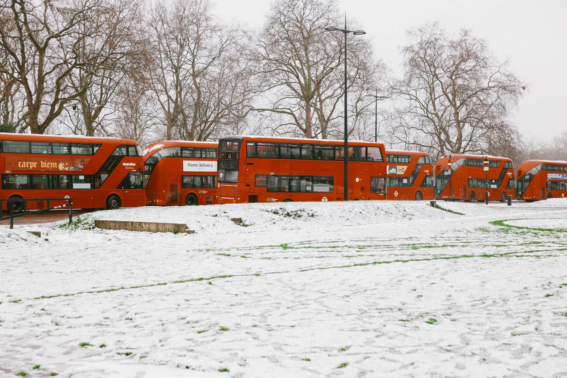 Rote Doppeldeckerbusse stehen aufgereiht auf einem schneebedeckten Platz zwischen kahlen Bäumen