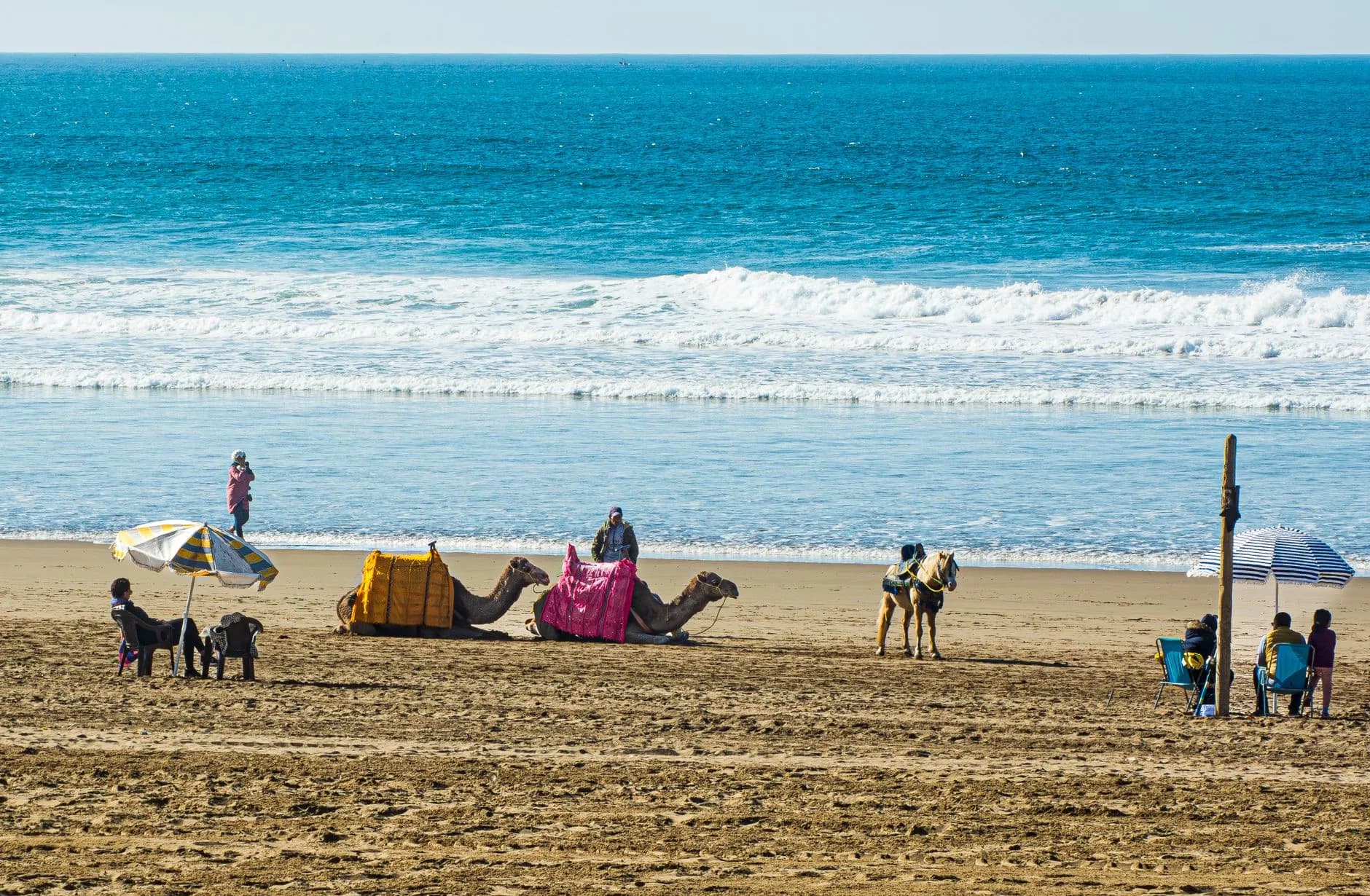 Strand mit zwei Kamelen und einem Pferd, Sonnenschirmen und Personen auf Liegestühlen vor dem Meer