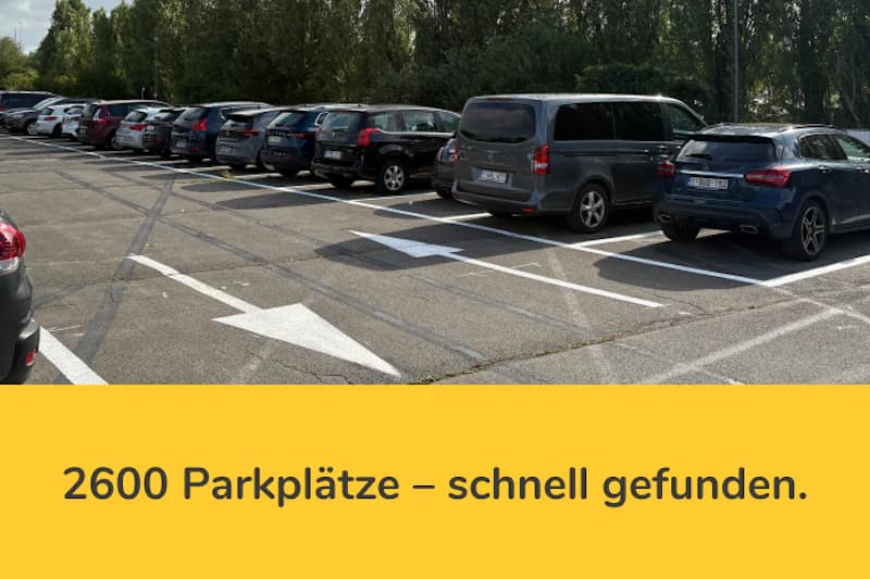Geparkte Autos in einer Außenparkreihe, weiße Pfeile auf dem Asphalt und Bäume im Hintergrund.