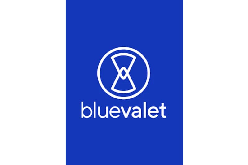 Wortmarke bluevalet.