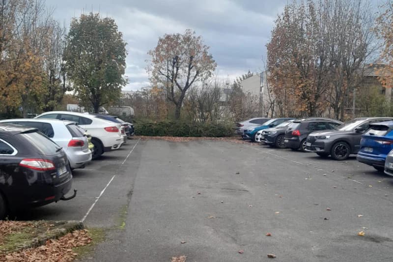 Asphaltierter Parkplatz mit geparkten Autos links und rechts, Laubbäume und grauer Himmel.