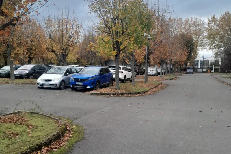 Außenparkplatz mit geparkten Autos zwischen herbstlichen Bäumen und freier Fahrbahn.