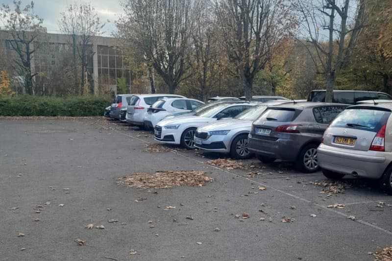 Reihe geparkter Autos auf asphaltierter Parkfläche neben Bäumen mit Herbstlaub.