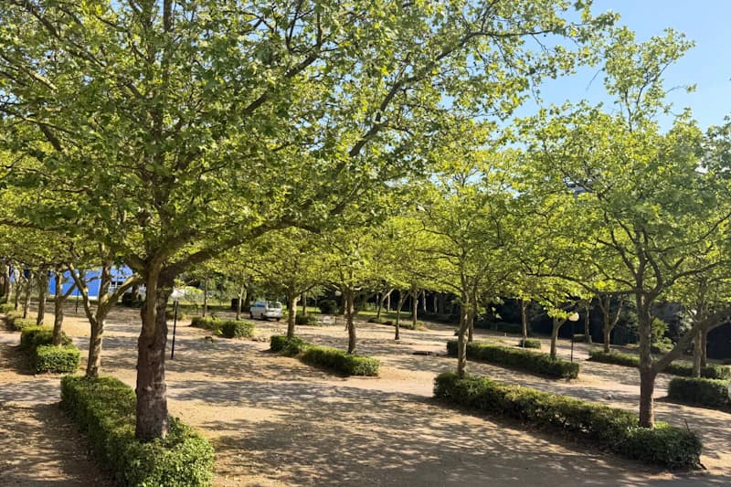 Baumbestandener Parkplatz mit Reihen kleiner Bäume, Kiesfläche, niedrigen Hecken und einem weißen Lieferwagen im Hintergrund.