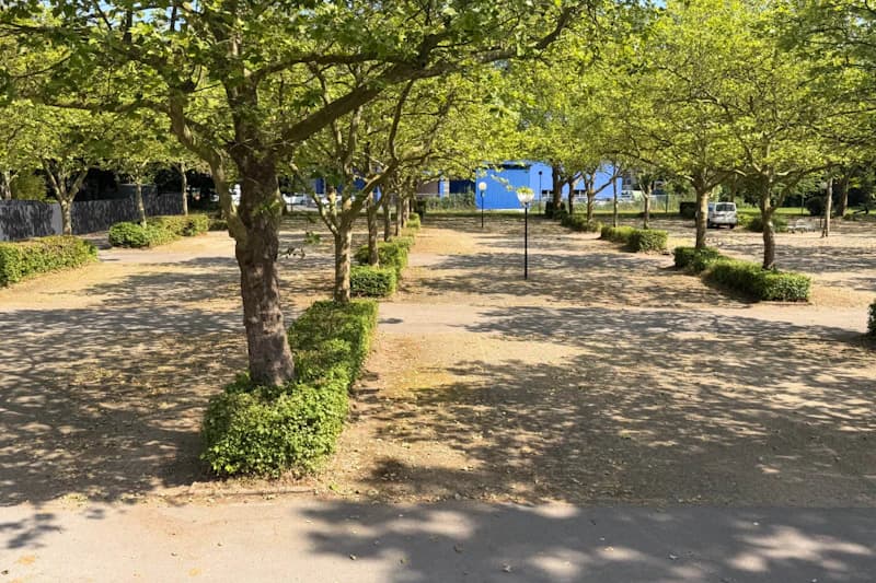 Schattige Parkplätze unter Reihen von Bäumen, niedrige Hecken, Laternen und blaues Gebäude im Hintergrund.