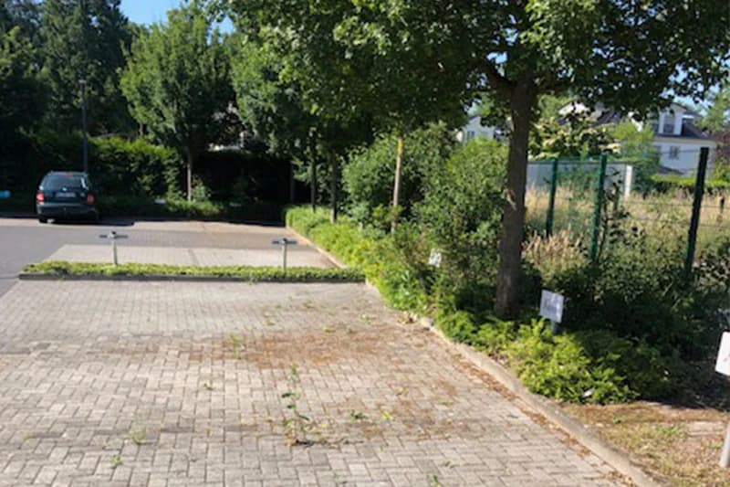 Pflasterstellplätze mit Unkraut in Fugen, ein geparkter Pkw links, Bäume und Hecken entlang eines Zauns rechts.