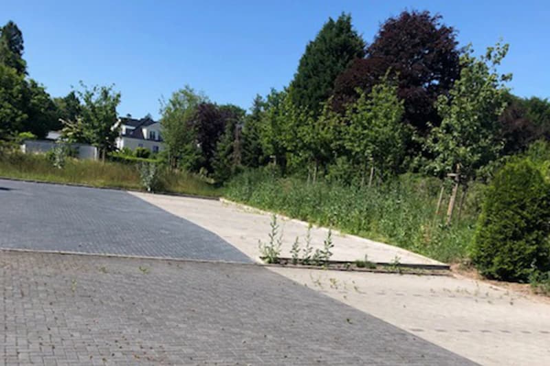 Gepflasterte und betonierte Parkfläche mit Unkraut zwischen den Fugen, Bäumen und Wohnhäusern im Hintergrund.