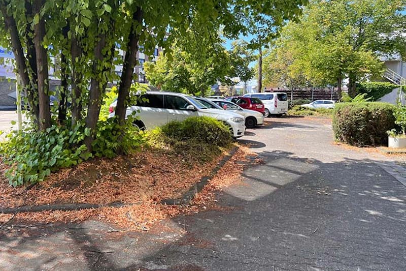 Außenparkplatz mit mehreren geparkten Autos, Bäume, Sträucher und Schatten auf dem Asphalt.