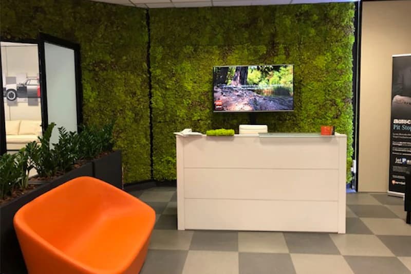 Weiße Empfangstheke vor einer grünen Mooswand mit Fernseher, orangefarbener Sitzschale und Topfpflanzen.