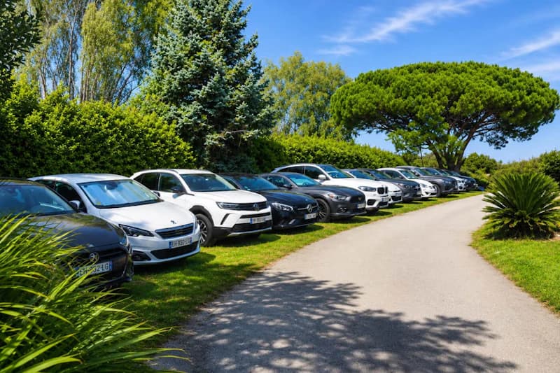 Reihe geparkter Pkw auf Gras neben geschwungenem Weg, umgeben von Bäumen und blauem Himmel.