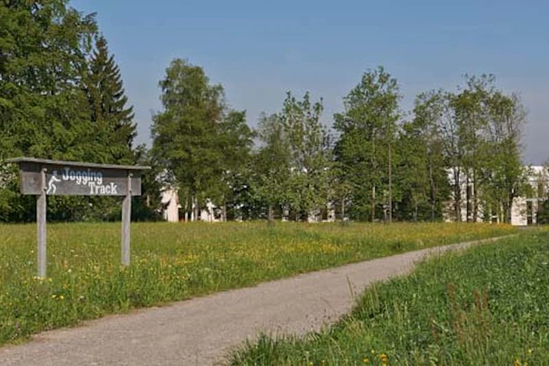 Schotterweg durch blühende Wiese mit Holzschild Jogging Track, Baumreihe und Gebäudefassaden im Hintergrund.
